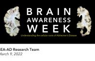 Brain Awareness Week: Understanding the Cellular Roots of Alzheimer’s Disease